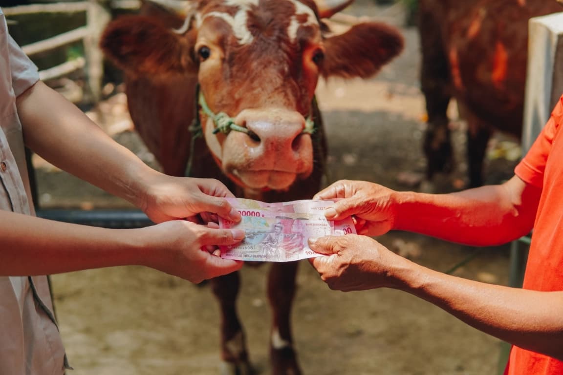 Meningkatkan Inklusi Keuangan